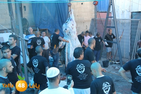 ada7y 116 n1 (44).JPG